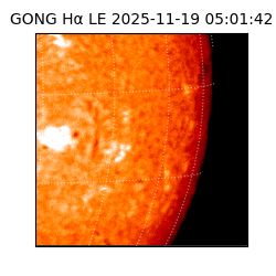 gong - 2025-11-19T05:01:42
