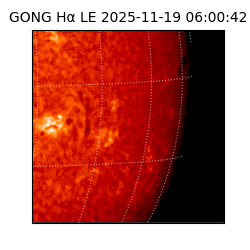 gong - 2025-11-19T06:00:42