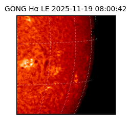 gong - 2025-11-19T08:00:42