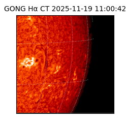gong - 2025-11-19T11:00:42