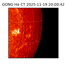 gong - 2025-11-19T20:00:42