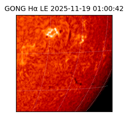 gong - 2025-11-19T01:00:42