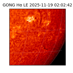 gong - 2025-11-19T02:02:42