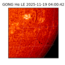 gong - 2025-11-19T04:00:42
