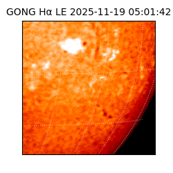 gong - 2025-11-19T05:01:42