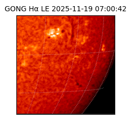 gong - 2025-11-19T07:00:42