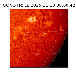 gong - 2025-11-19T08:00:42