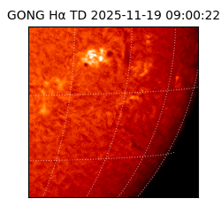 gong - 2025-11-19T09:00:22