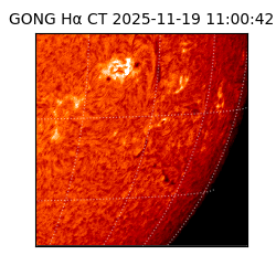 gong - 2025-11-19T11:00:42