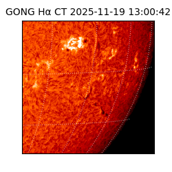 gong - 2025-11-19T13:00:42