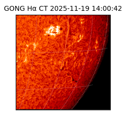 gong - 2025-11-19T14:00:42