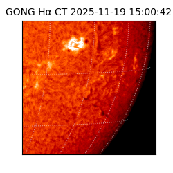 gong - 2025-11-19T15:00:42