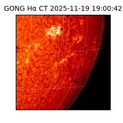 gong - 2025-11-19T19:00:42