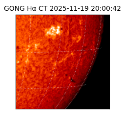 gong - 2025-11-19T20:00:42