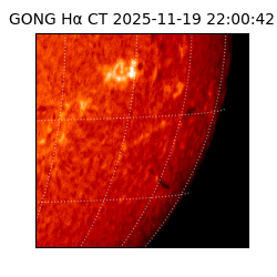 gong - 2025-11-19T22:00:42