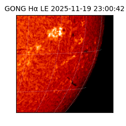 gong - 2025-11-19T23:00:42
