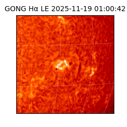 gong - 2025-11-19T01:00:42
