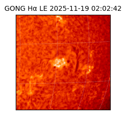 gong - 2025-11-19T02:02:42