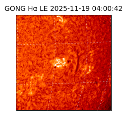gong - 2025-11-19T04:00:42