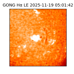 gong - 2025-11-19T05:01:42