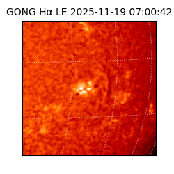 gong - 2025-11-19T07:00:42