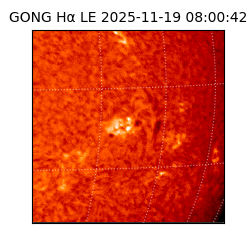 gong - 2025-11-19T08:00:42