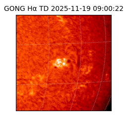 gong - 2025-11-19T09:00:22