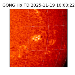 gong - 2025-11-19T10:00:22