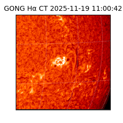 gong - 2025-11-19T11:00:42