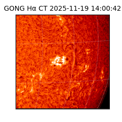 gong - 2025-11-19T14:00:42