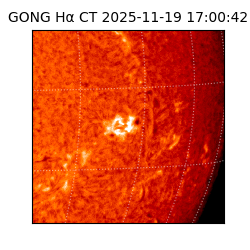 gong - 2025-11-19T17:00:42