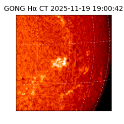 gong - 2025-11-19T19:00:42