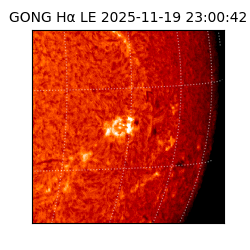 gong - 2025-11-19T23:00:42