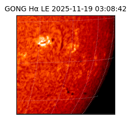 gong - 2025-11-19T03:08:42