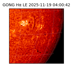 gong - 2025-11-19T04:00:42