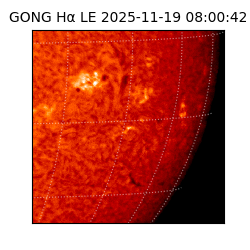 gong - 2025-11-19T08:00:42