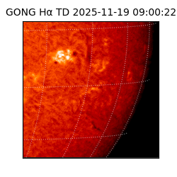 gong - 2025-11-19T09:00:22