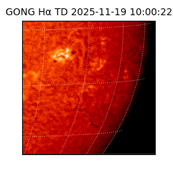 gong - 2025-11-19T10:00:22