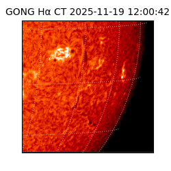 gong - 2025-11-19T12:00:42