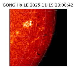 gong - 2025-11-19T23:00:42