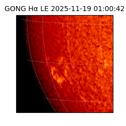 gong - 2025-11-19T01:00:42