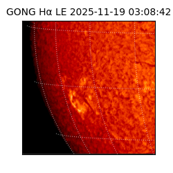 gong - 2025-11-19T03:08:42