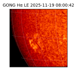 gong - 2025-11-19T08:00:42