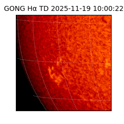 gong - 2025-11-19T10:00:22