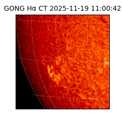gong - 2025-11-19T11:00:42