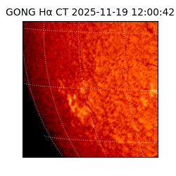 gong - 2025-11-19T12:00:42
