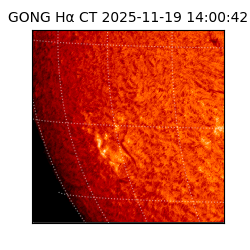 gong - 2025-11-19T14:00:42