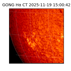 gong - 2025-11-19T15:00:42