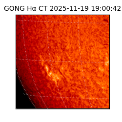 gong - 2025-11-19T19:00:42