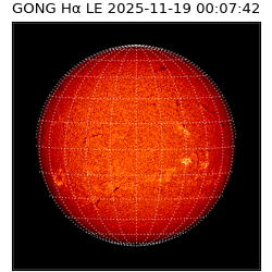 gong - 2025-11-19T00:07:42